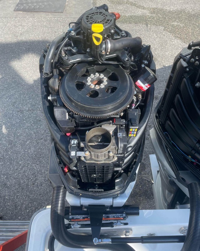 Outboard engine maintenance, lower unit service